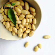 Wholesale chinese product fried blanched peanut kernel